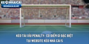 Kèo Tài Xỉu Penalty: Có Điểm Gì Đặc Biệt Tại Website Kèo Nhà Cái 5