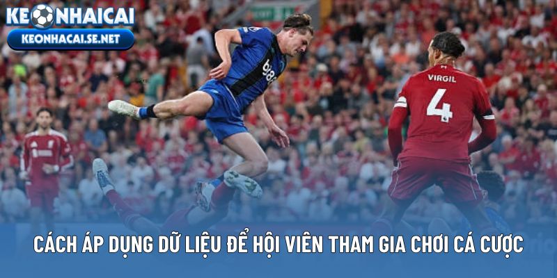 Cách áp dụng dữ liệu để hội viên tham gia chơi cá cược