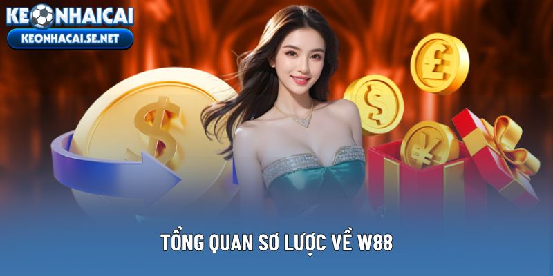 Tổng quan sơ lược về W88
