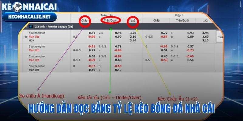 Giải mã từng loại kèo nền tảng đọc tỷ lệ bóng đá nhà cái chuẩn xác